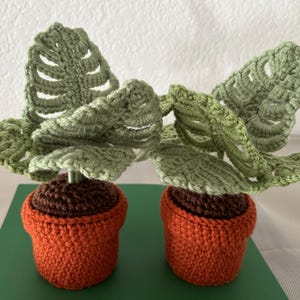 Yolly added a photo of their purchase
