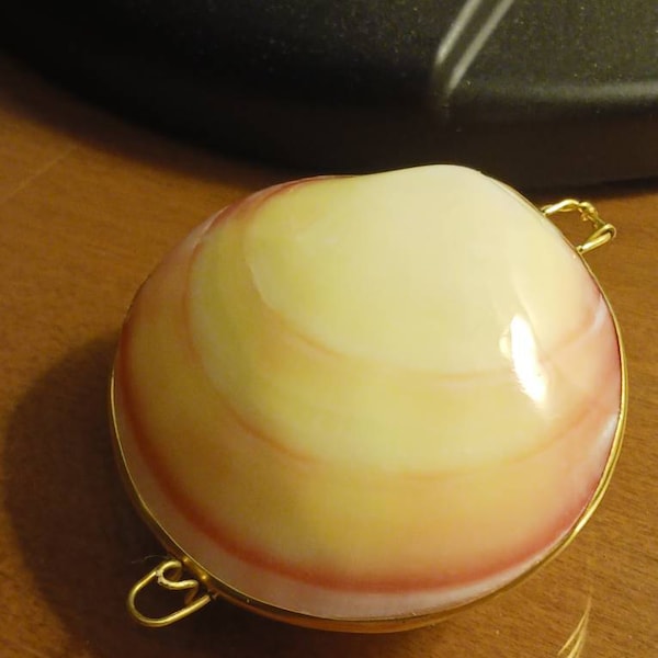 Beach Decor Seashell Stand Large and Small Display Stands Shell ...