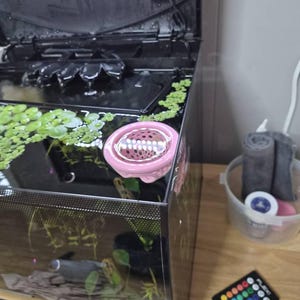 Ashley added a photo of their purchase