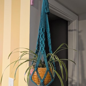 Bergen added a photo of their purchase
