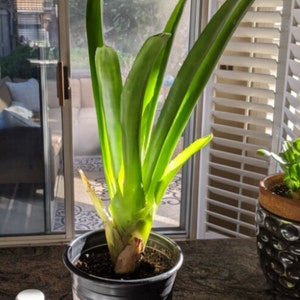 Cyndi added a photo of their purchase