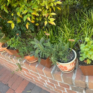 Custom Copper Garden Markers Hand Stamped | Etsy