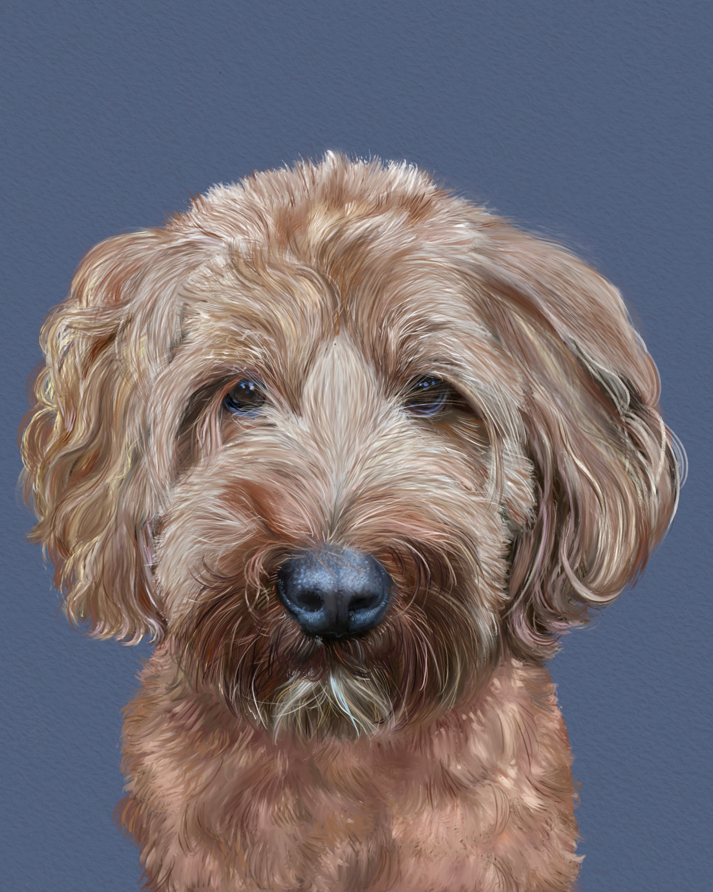 Dog Nose Textures and Stamps for Procreate