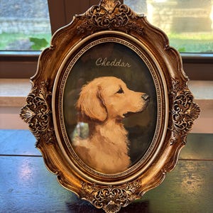 David added a photo of their purchase