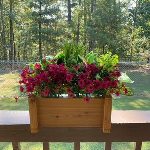 Elizabeth added a photo of their purchase