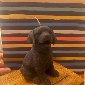 Faye ha añadido una foto de su compra