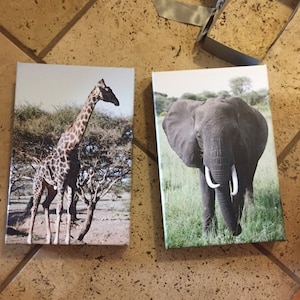 Megan added a photo of their purchase