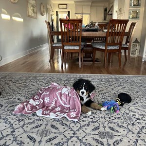 Laura added a photo of their purchase