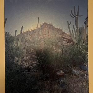 David added a photo of their purchase