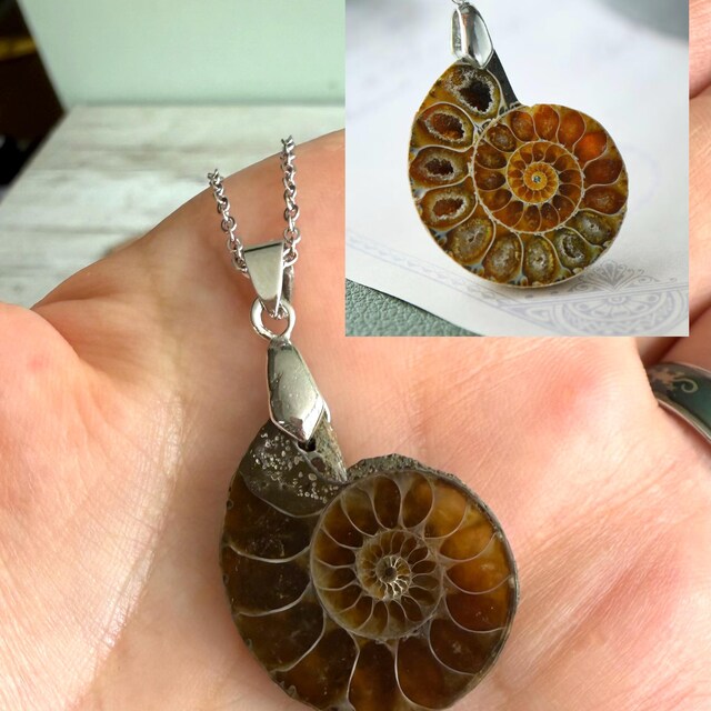 アンモナイト化石シェルネックレス、本物のアンモナイトネックレス
