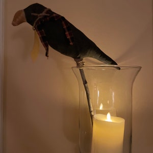 debbie added a photo of their purchase