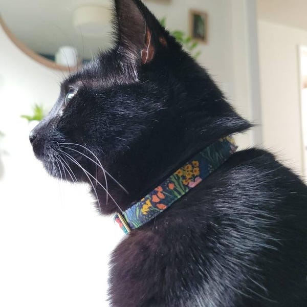 View of Cat Collar - 