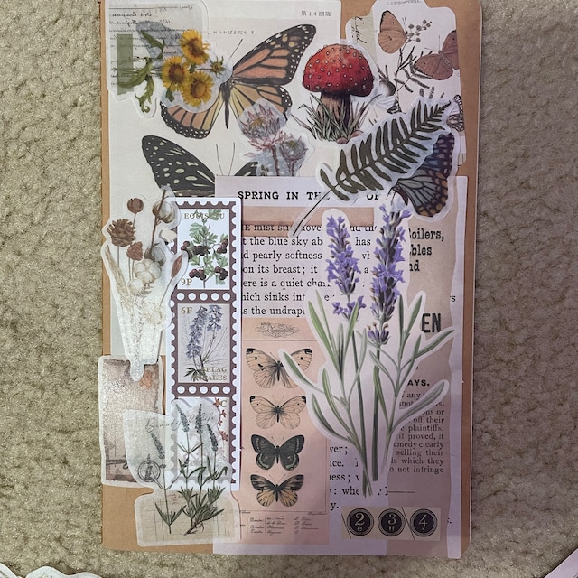 Diuhofart 2 Pack Ephemera Sticker Books,40 Sheets A6 Size Scrap Book  Sticker Sheets, Nature Flower Botanical and Food Stickers for Junk Journal