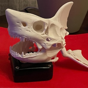 James ha añadido una foto de su compra