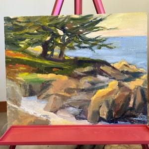 Carmel ha añadido una foto de su compra