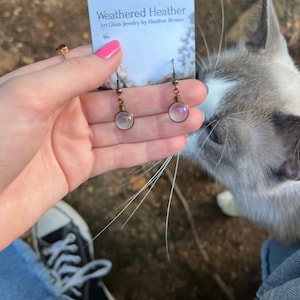 Lily added a photo of their purchase
