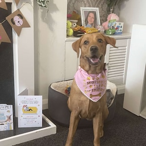 Sophie added a photo of their purchase