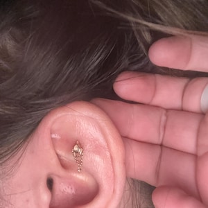 Heidi added a photo of their purchase