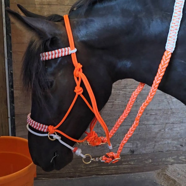 Bit Less Rope Halter Soft Rope Halter Bitless Bridle Hackamore- Woven Paracord Overlay - Etsy