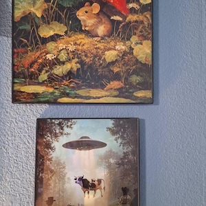 elizabeth added a photo of their purchase