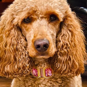 Adilene heeft een foto van de aankoop toegevoegd
