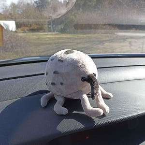 Jenni added a photo of their purchase