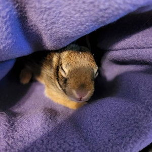 Sherry added a photo of their purchase