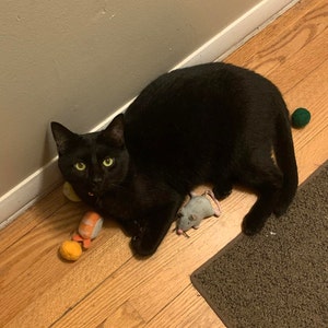 Beth added a photo of their purchase