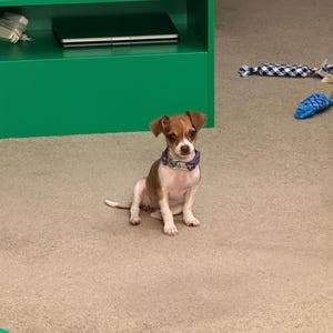 Brynn added a photo of their purchase