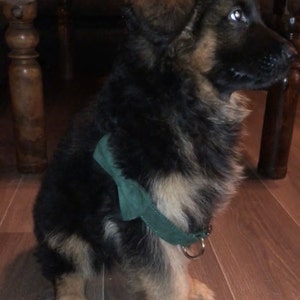 Mishmo added a photo of their purchase
