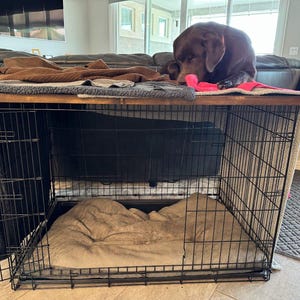 Donna added a photo of their purchase