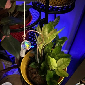 D added a photo of their purchase