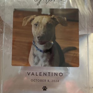Tanya added a photo of their purchase