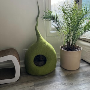 Graham added a photo of their purchase
