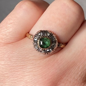 Allison added a photo of their purchase