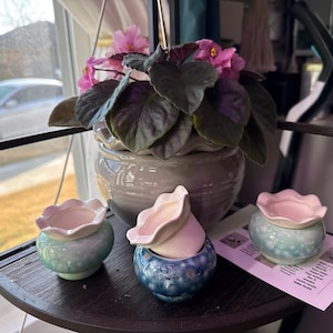 Tracy added a photo of their purchase