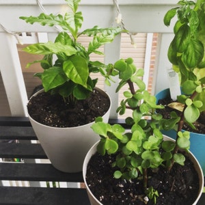 Danielle added a photo of their purchase