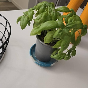 Anna ha añadido una foto de su compra