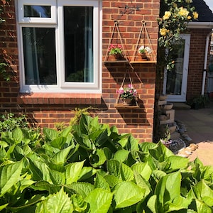 Rustic Wood Double Outdoor Window Box for Herbs and Flowers - Etsy