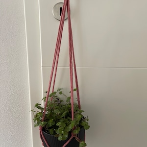 Melanie ha añadido una foto de su compra