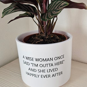 Diana added a photo of their purchase