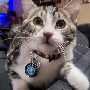 Lillian ha añadido una foto de su compra