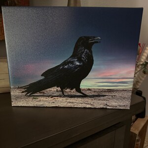 Susan added a photo of their purchase