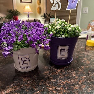 Patricia added a photo of their purchase
