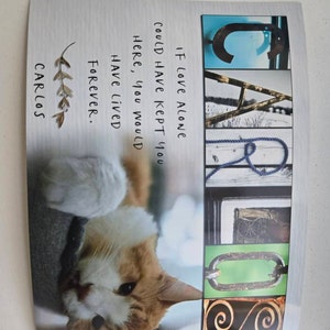 Joie added a photo of their purchase