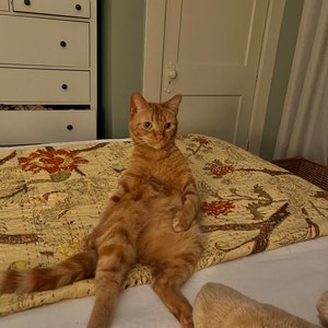 Erin ha añadido una foto de su compra