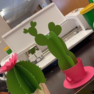 Roxanna added a photo of their purchase