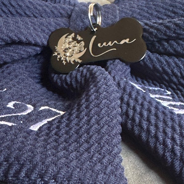 When The Road To Graduation Was Ruff, But You Did It Anyway Macorner Graduationgi