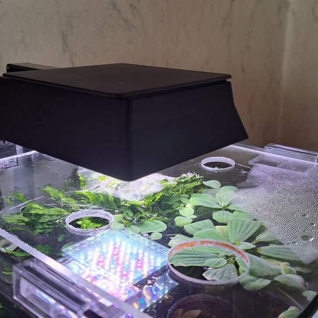 Fluval Plant 3.0 Nano Light Shade: Glare Reduction Coverfree SHIPPING! -  Etsy