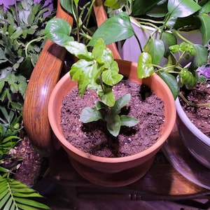 Beverly added a photo of their purchase